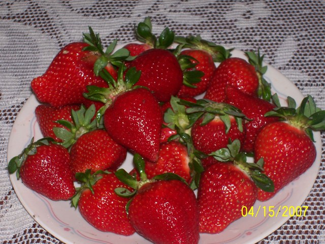 Plate_of_strawberries