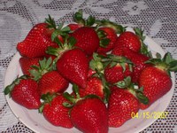 Plate_of_strawberries